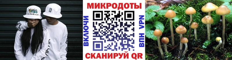 Галлюциногенные грибы мицелий  Купить где  Гаврилов-Ям 